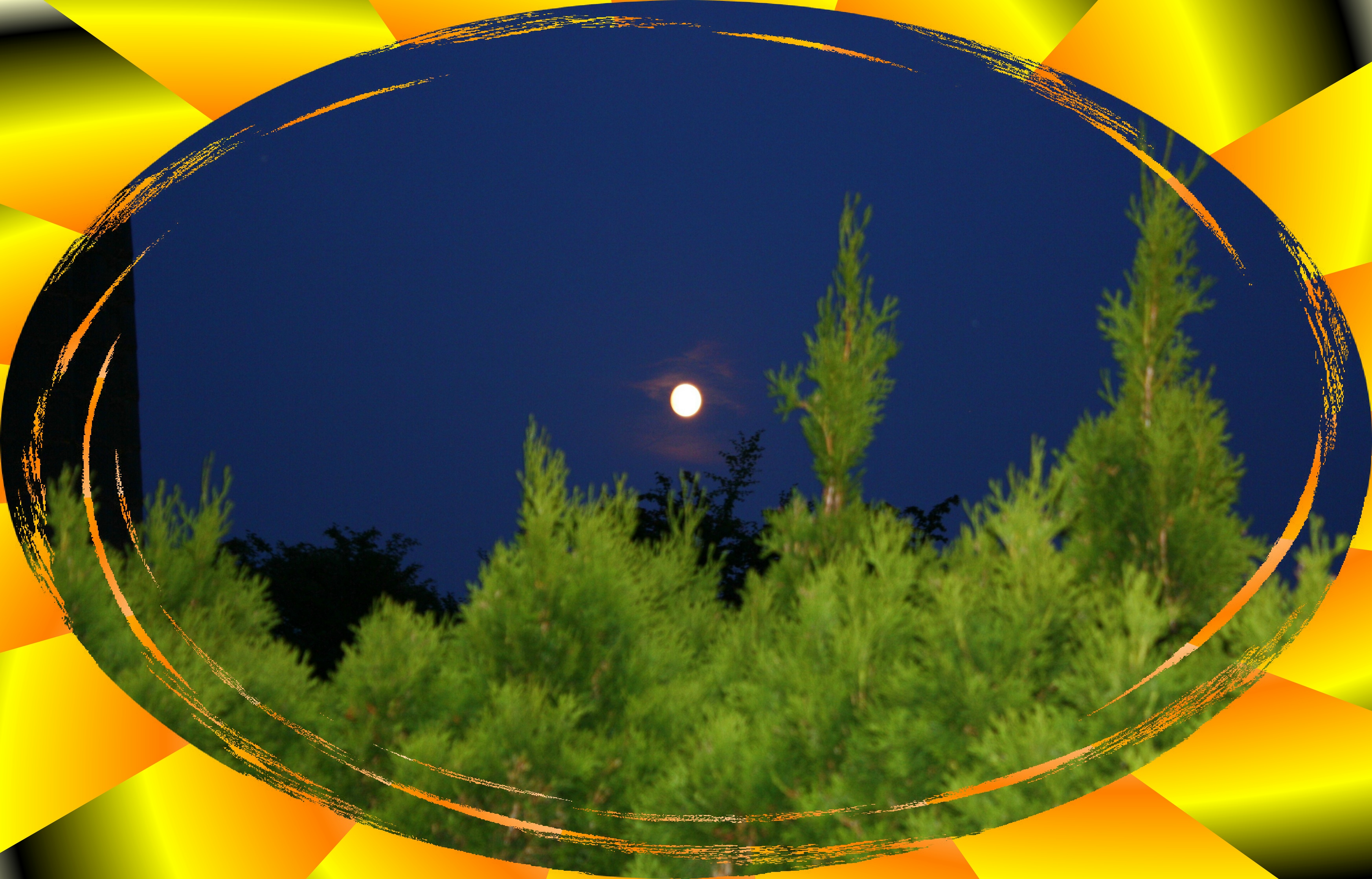 Thuja bearbeitet